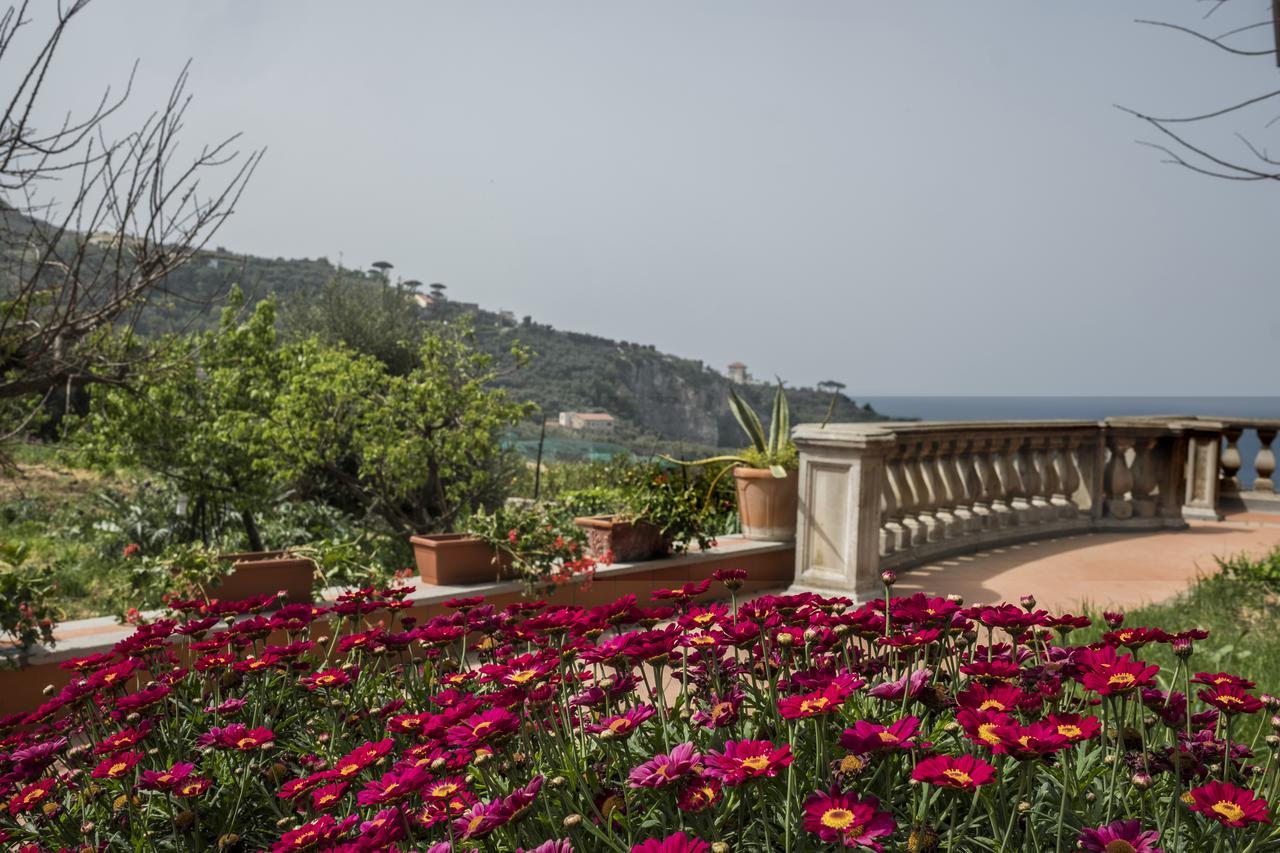 Faraglioni Di Sorrento Guesthouse Exterior foto