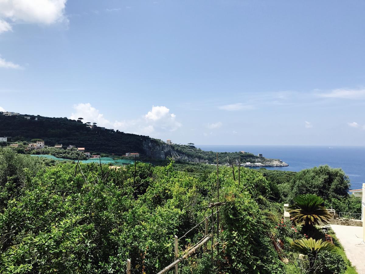 Faraglioni Di Sorrento Guesthouse Exterior foto